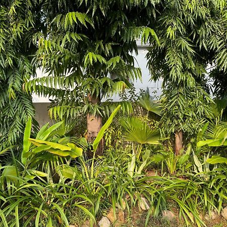 The Bougainvillea Cottage Farmstay Near Dehradun , 2 Bedroom Private Cottage Next To Fields And Orchards With Hill Views Exterior foto