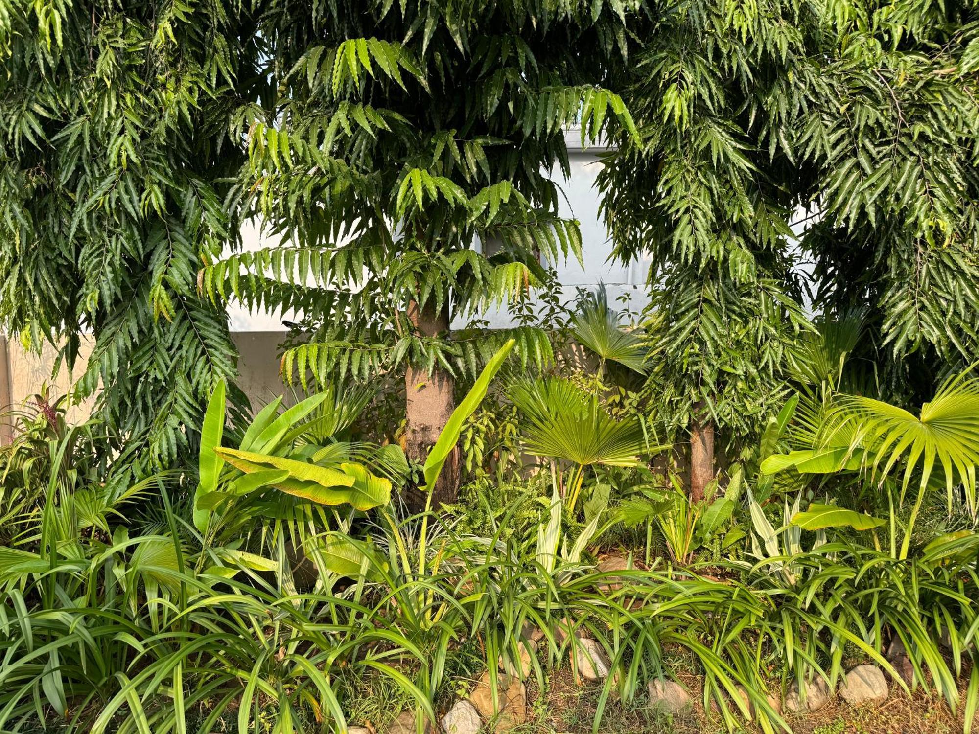 The Bougainvillea Cottage Farmstay Near Dehradun , 2 Bedroom Private Cottage Next To Fields And Orchards With Hill Views Exterior foto