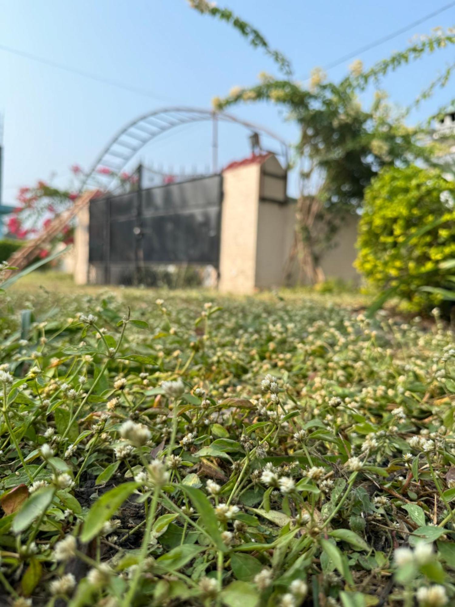 The Bougainvillea Cottage Farmstay Near Dehradun , 2 Bedroom Private Cottage Next To Fields And Orchards With Hill Views Exterior foto